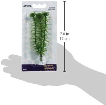 Marina Aquascaper Plastic Plant, Anacharis, 4-Inch tall