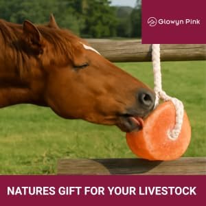 Himalayan Mineral Salt Block on Rope Pack of 4 (3lbs each) – 100% Organic Pink Salt Lick for Horses and Livestock. Deer Attractant with No Harmful Elements.