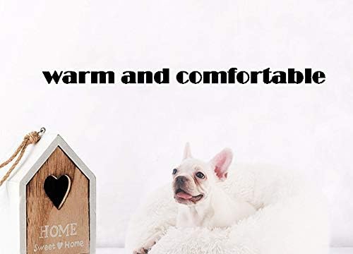 Modern Soft Plush Round Pet Bed for Cats or Small Dogs, Mini Medium Sized Dog Cat Bed Self Warming Autumn Winter Indoor Snooze Sleeping Cozy Kitty Teddy Kennel (24'' D x 8'' H, Pink)