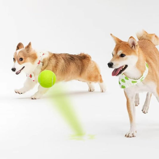 3-Pack Tennis Ball Dog Toys with Squeaker, Interactive Fetch Play for Pets 40 lbs and Over ,Training Balls for Indoor & Outdoor Exercise, 3.28-inch (Yellow, 18PCS)