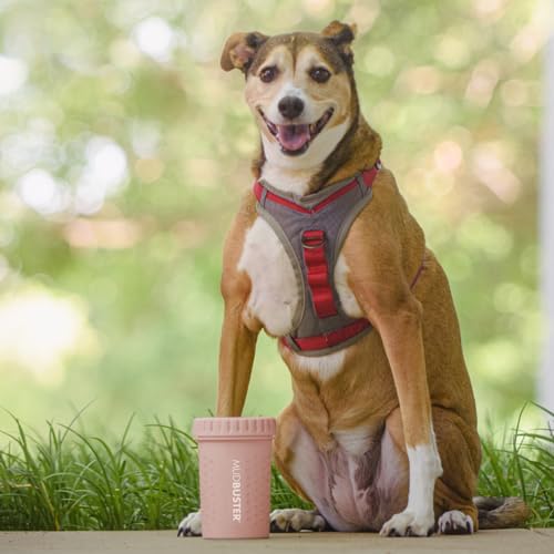 Dexas MudBuster Medium Dog Paw Cleaner in Blush - Fits 1.5"-2.5" Wide Paws, Portable Paw Washer for Muddy Paws, Dog Paw Cleaning Cup with Gentle Silicone Bristles, Quick Clean Pet Paw Washer