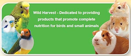 Wild Harvest Advanced Nutrition Ferret, High Protein and Taurine Diet, 3 Pounds (Pack of 2)