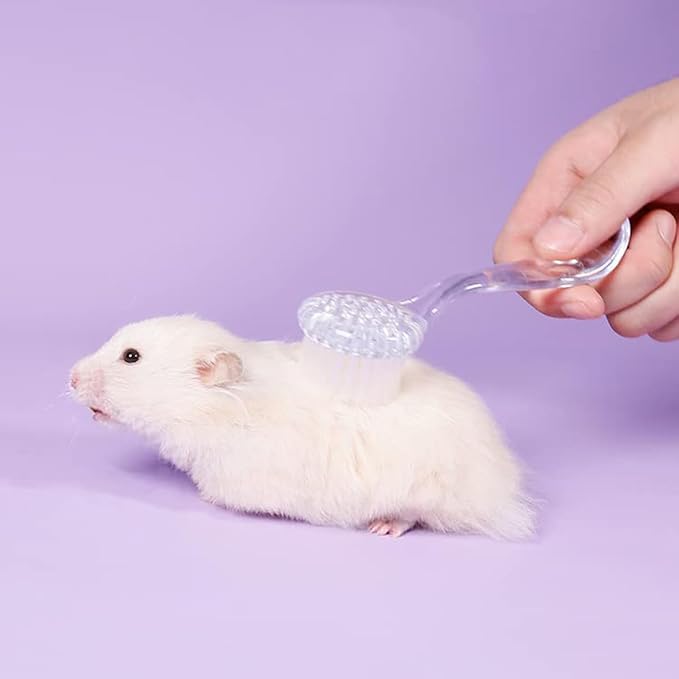 6 Pack Hamster Brush - Small Animal Bath Brush with Lid Soft Cleansing Brush Animal hair combing for Hedgehog Guinea Pig Rabbit Cat Chinchilla Ferret Small Animal Grooming Tool Cleaning Supplies