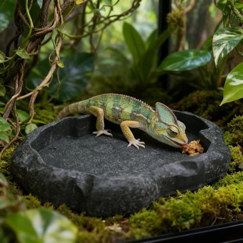 Resin Rock Reptile Food and Water Bowl, Terrarium Dish for Bearded Dragon, Leopard Gecko, Lizard, Tortoise Feeder Accessories