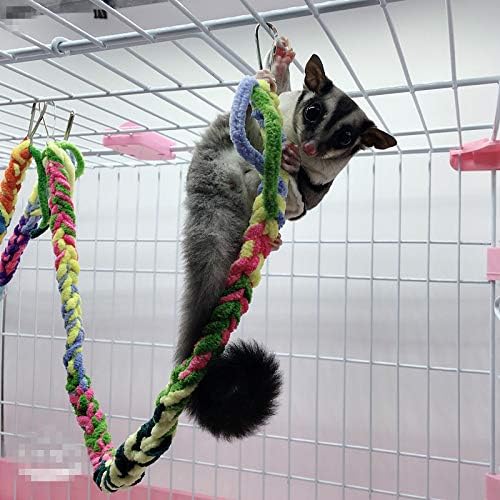 RIOUSSI Handmade Hanging Sugar Glider and Rat Toys for Climbing/Exercising/Jungle Exploration, Cage Accessories, Random Color, 6 Pack