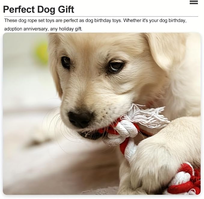 Puppy Rope Toys for Small Dogs - Puppy Teething Toys - Knots Dog Toy for Smart Newborn Pet and High Active Puppies - Doggy Mini Dental Pack of 2