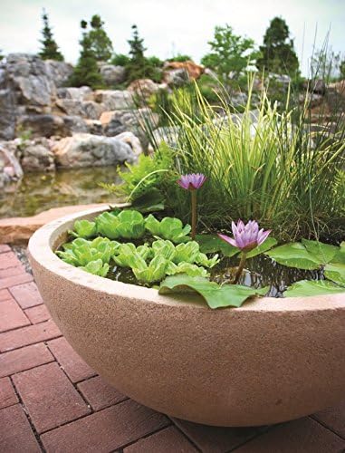 Aquascape 40004 Container Water Garden and Pond Maintenance Treatment, 36 Tabs, white