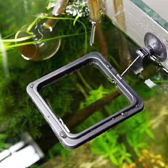 Fish Feeding Ring, Fish Safe Floating Food Feeder Circle Blue, with Suction Cup Aquarium, Square and Round Shape Fish Tank Towels - for Guppy, Betta, Goldfish, Etc (1 Square)