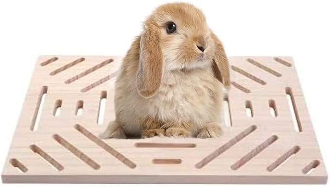 Litewoo Rabbit Scratch Board Foot Pad Mat Chew Toy Grinding Claws Teeth Natural Wood for Small Animal Rabbit Hamster Chinchilla Guinea Pig Ferret Gerbil Bunny Rat Cage Accessories (B)