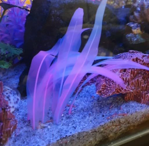 Artificial Aquarium Plants Decoration Set,6pcs Floating Glowing Plants Water Grass for Fish Tank,Pink Blue Green Orange Red Plant 7Inch/9.8Inch/17Inch(Color Size Random)