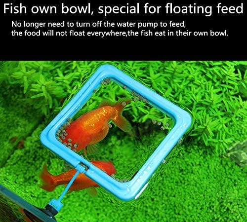 2 Pcs Fish Feeding Ring, Fish Safe Floating Food Feeder Circle Blue, with Suction Cup Aquarium, Square and Round Shape Fish Tank Towels - for Guppy, Betta, Goldfish, Etc. (Blue)¡