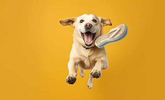 Gnaw Guard Squeaky Toy, Flip Flop
