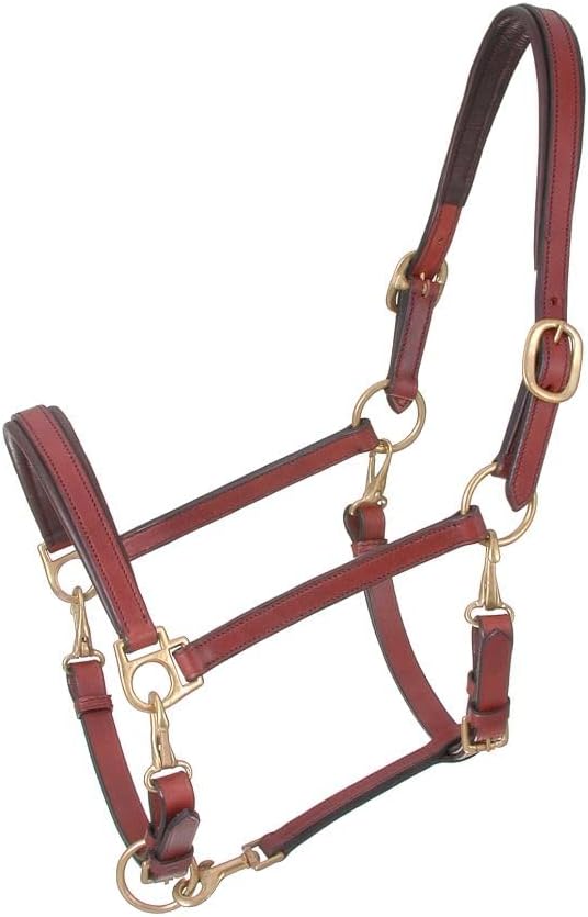 Royal King 4-Way Stable/Grooming Halter