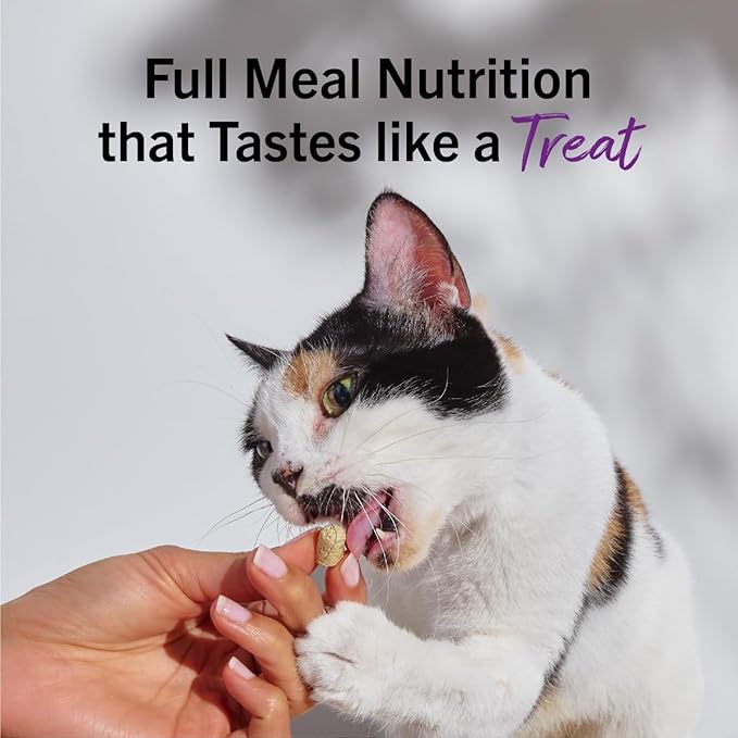 Stella & Chewy's Freeze-Dried Raw Cat Dinner Morsels - Premium Turkey Recipe with 98% Farm-Raised Meat & Organs - Natural Grain-Free Cat & Kitten Food - Made in USA - 18 oz