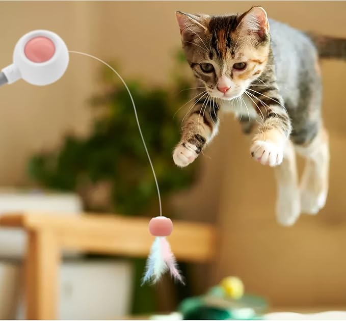 Andiker Cat Teaser Stick, Retractable Cat Wand with Replacement Head, Cat Feather Toy, Cat Interactive Toy for Indoor Cats for Relief Boredom and Exercise (Blue)