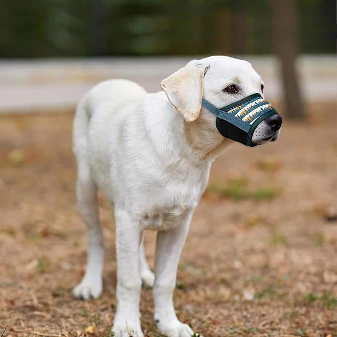 HEELE Dog Muzzle,Soft Nylon Muzzle Anti Biting Barking Chewing,Air Mesh Breathable Drinkable Adjustable Loop Pets Muzzle for Small Medium Large Dogs 4 Colors 4 Sizes (P-Green Valley, XS)