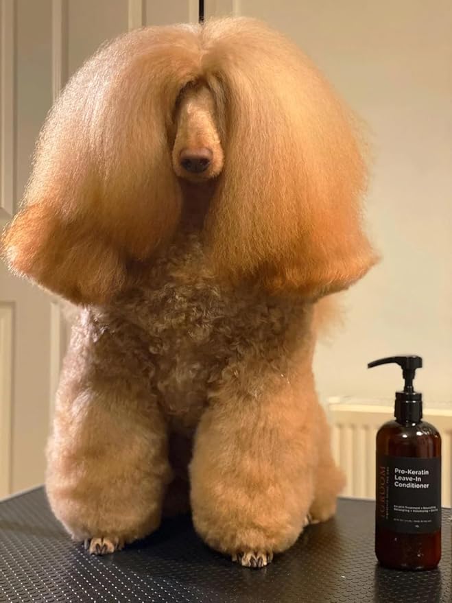 iGroom Pro-Keratin Leave-in Dog Conditioner, Luxury Pet Beauty Care, Keratin Treatment, Excellent Detangling, Made in USA, 16 oz