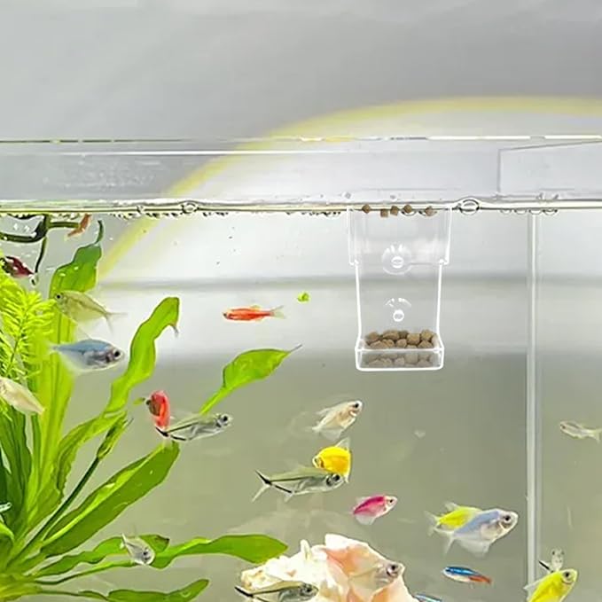 2-Pack Acrylic Fish Feeders – Round & Square Suction-Cup Feeding Tubes for Aquariums, Hollow Floating-Sinking Fish & Shrimp Food Holders