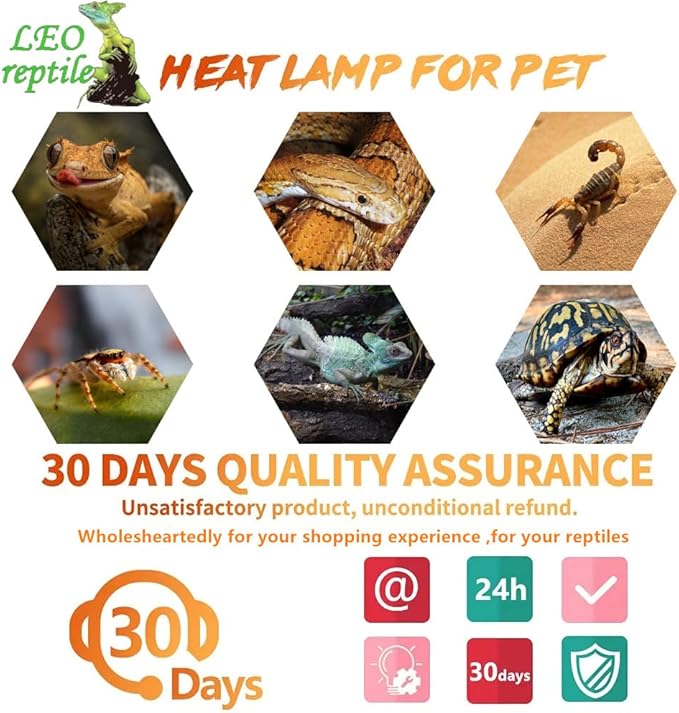 Leoterra 13W 10.0 UVB Bulb – Compact Reptile uvb Light for Bearded Dragon & Green Iguana Hatchlings, Chameleons (Juvenile) & Box Turtles | High Output E26 UVB Lamp(110V)