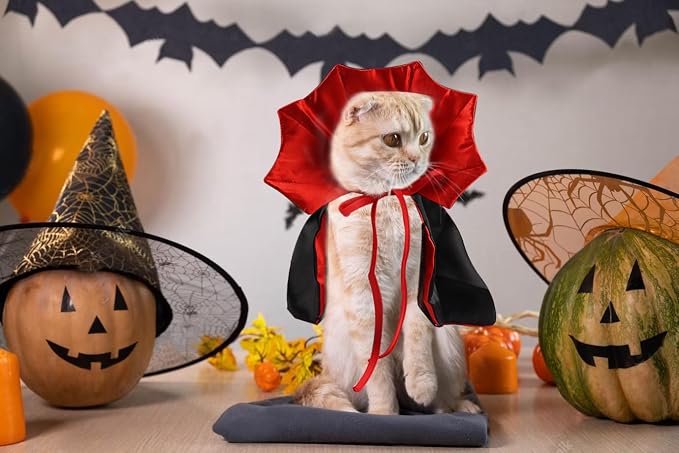Halloween Cat Vampire Cloak Costume Adjustable Red Black Pet Cape Costume Clothes, Halloween Pet Accessories Costumes Outfit Decor Cowl for Small Cats Dogs Animals Halloween Party pet Cosplay