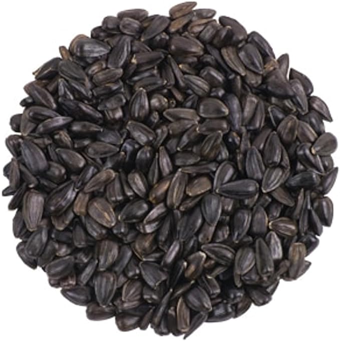 Backyard Seeds Black Oil Sunflower Seeds for Wild Birds 25lbs - Thin Shells, Premium Cardinal Food, Medium Bag of Black Oil Sunflower Seeds