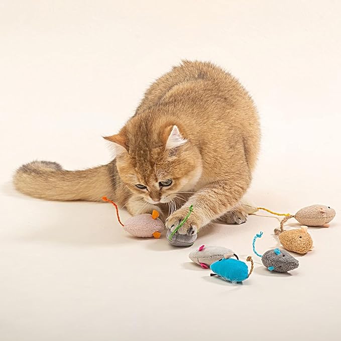 BWESOO 5Pcs Blue Catnip Toy, Catnip Toys Balls, Teaser Toy Mouse Shape Interactive Lightweight Relieve Boredom Pet Teething Toy Cat Supplies Blue Interested Catnip Toys