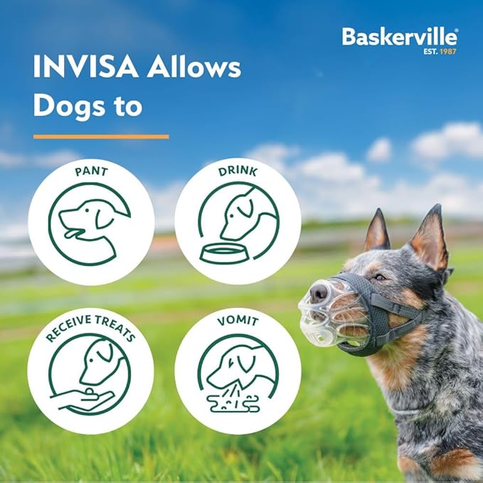 Baskerville INVISA Basket Dog Muzzle - Patented Humane Design with Facial Visibility, Padded Nose Band, Dog can Pant and Drink, Prevents Biting and Scavenging. Muzzle for Medium-Sized Dogs (Size 3)