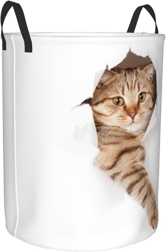 Cute Cat In White Hole Round Laundry Hamper Storage Basket Toys Clothes Organizer Bin For Home Bathroom Bedroom Dorm Nursery, 62l