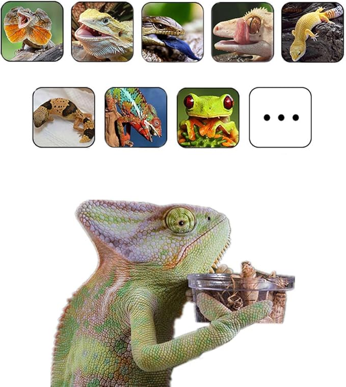 200Pcs Crested Gecko Food Dish, 0.5oz Plastic Reptile Feeding Cups