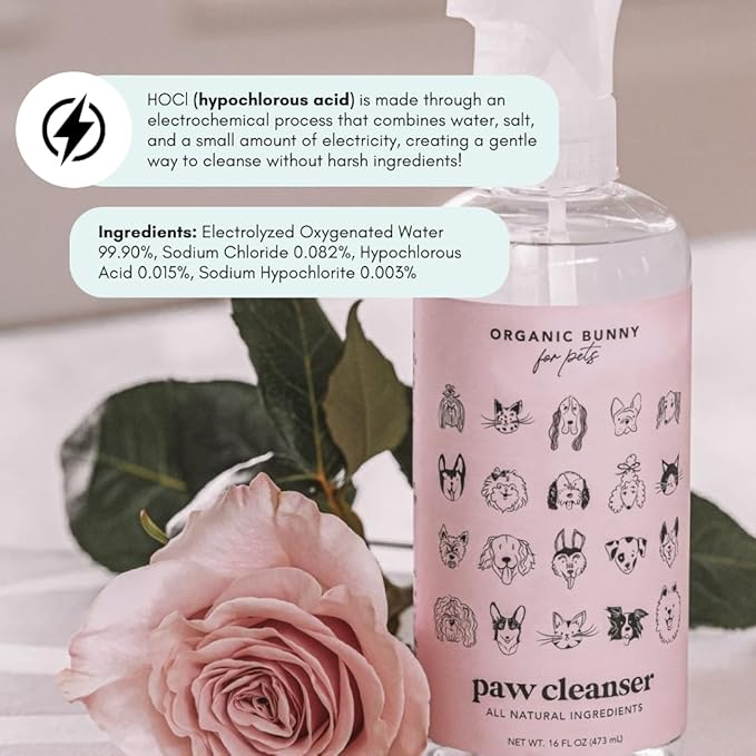 for Pets Paw Cleanser – No‑Rinse, Lick-Safe Unscented Natural Spray to Soothe, Cleanse, and Deodorize for Pets – Safe & Hypoallergenic Formula for Dogs & Cats – 16 Oz.