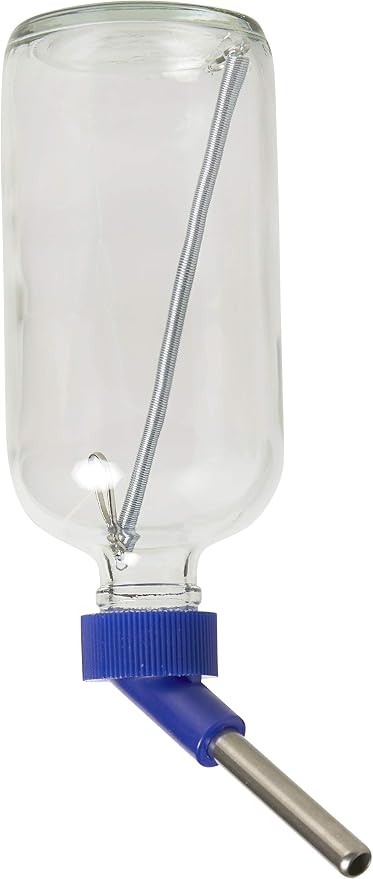 Lixit 30-0370-024 Glass Water Bottle for Birds and Small Animals, 8-Ounce
