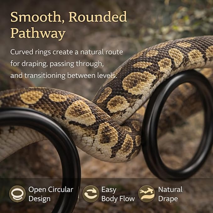 2PCS Snake Climbing Rings for Ball Python - Enrichment Toys for Corn Snake - Reptiletank Cage Decor Habitat Accessories | Terrarium, Bearded Dragon, Chameleon, Iguana, Gecko, Lizard, Parrot
