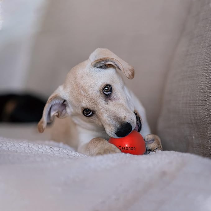 Dog Balls Indestructible,Solid Rubber Bouncy for Dogs Aggressive Chewers Small Breed,Non-Toxic&Floating&High Elasticity,Durable Fetch Ball Small to Chew,Play and Training