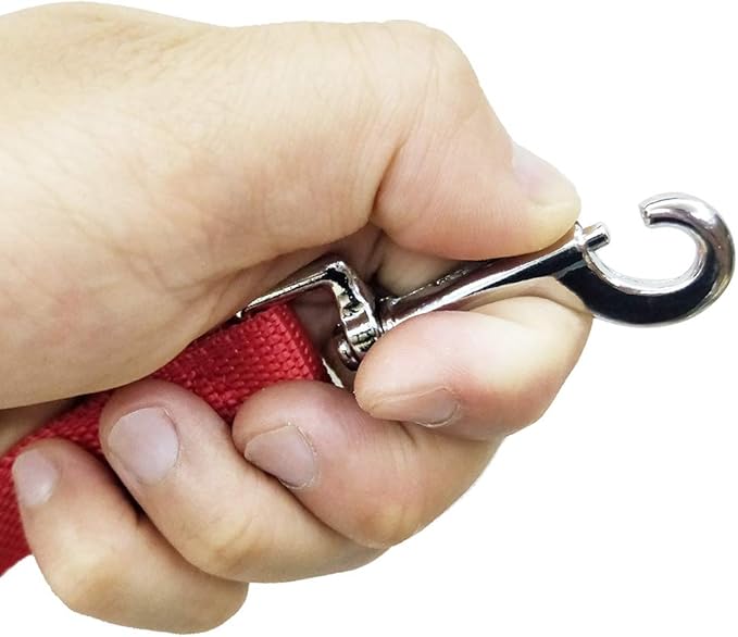 Nylon Training Dog Leash for Small Medium Large Dogs, 15ft 20ft 30ft 50ft Long Leash Dog/Puppy Lead for Obedience Recall Training, Camping (50ft, Red)