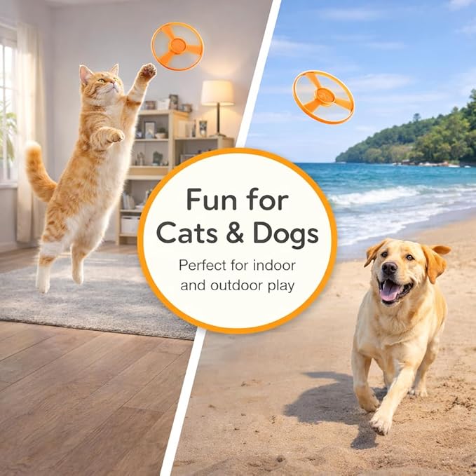 Cat Fetch Toy, Rechargeable Flying Disc Launcher with 6 Flying Discs, Interactive Cat Toys for Indoor Cats, Cat Chase Toy for Bored Indoor Cats, Kittens & Adult Cats