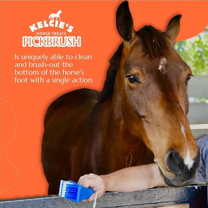 Kelcie's Pick Brush Cleaning Tool - Easy To Use Slip-Proof Grooming Brush For Horses With Great Grip