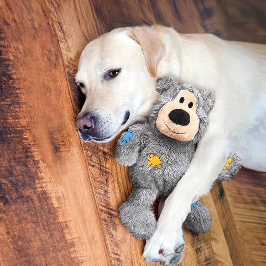 KONG Wild Knots Bears - Durable Dog Toys with Internal Knotted Ropes and Minimal Stuffing for Less Mess (Assorted Colors) (Small/Medium (2 Pack))