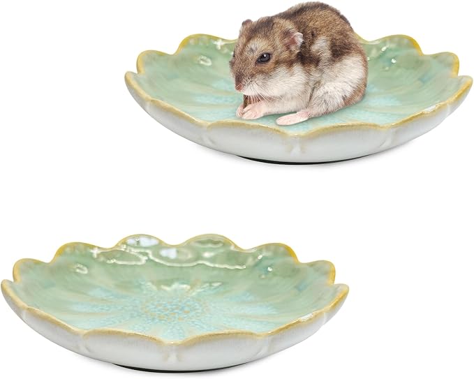 BNOSDM Shallow Ceramic Hamster Food Dish 2 Pcs Small Animals Food Bowl Sunflower Feeding Dishes for Gerbils Mice Rats 4.5in (Green)