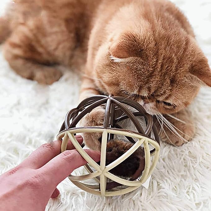 ALBOLET Cat Toy Ball,Cat Mouse Ball Cage Cat Mouse Toy Cat Ball Toy Squeak Mouse cat Toy,Cat Mouse Ball Toy