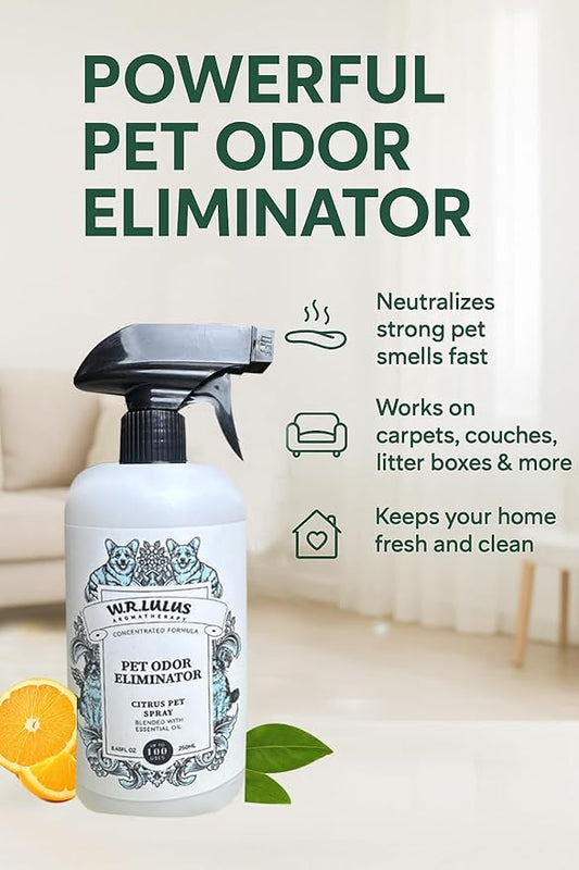 Pet Odor Eliminator Spray – Urine Odor Eliminator for Carpet, Couch & Litter Box –Pet Stain Remover and Strong Odor Eliminator – Safe for Dogs, Cats, Small Animals – Citrus Scent 8.45 Oz