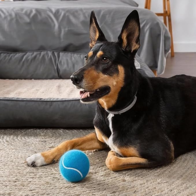 3-Pack Tennis Ball Dog Toys with Squeaker, Interactive Fetch Play for Pets 40 lbs and Over ,Training Balls for Indoor & Outdoor Exercise, 3.28-inch (Bule, 18PCS)