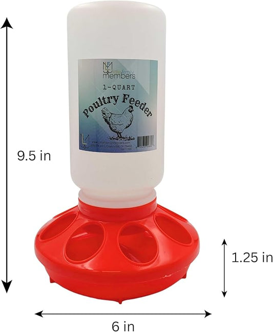 Chick Feeder 1-Quart Capacity for All Small Poultry | Durable Feeding Container for Baby Chicks, Chickens, Ducklings, Baby Turkeys, Quail and More