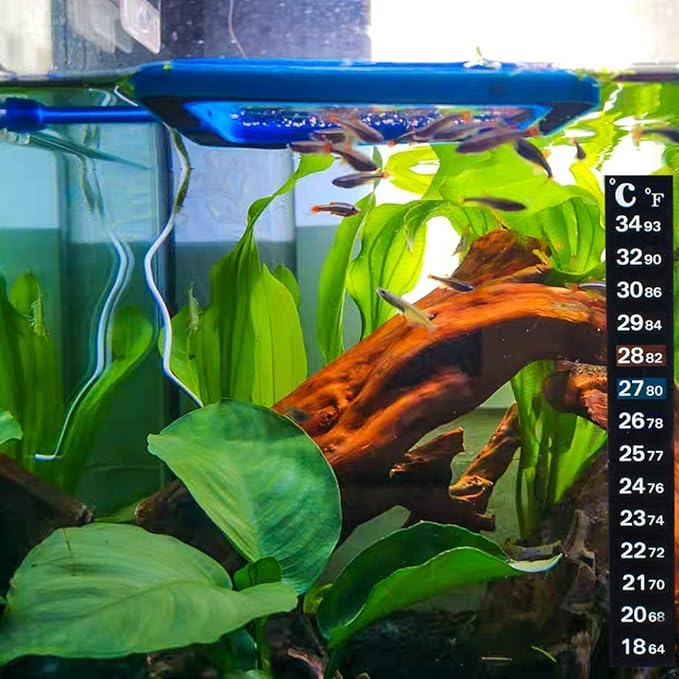 Fish Feeding Ring, Floating Food Feeder Thicken Square, Reduces Waste and Maintains Water Quality, for Flakes and Floating Fish Foods, for Guppy, Betta,