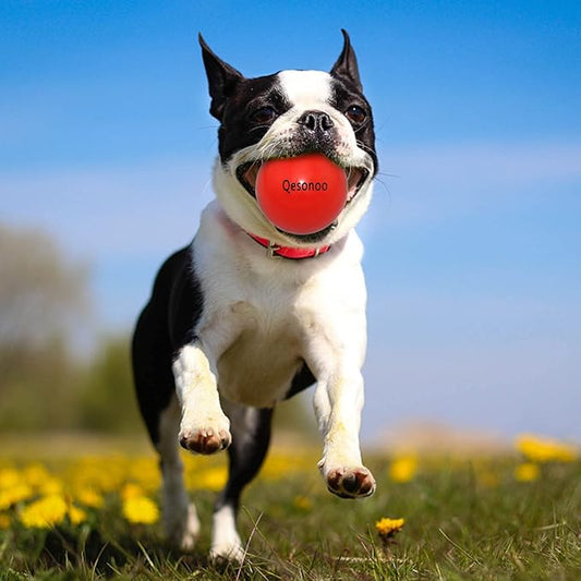 Dog Balls Indestructible,Solid Rubber Bouncy for Dogs Aggressive Chewers Large Breed,Non-Toxic&Floating&High Elasticity,Durable Fetch Ball Medium to Chew,Play and Training. (Red)