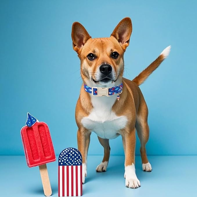 Lionet Paws 4th of July Dog Collar- Cute Blue Red Popsicle Dog Collars with Plastic Buckle and Icecream Pendant, Light Adjustable Dog Collars for Small Medium Dogs