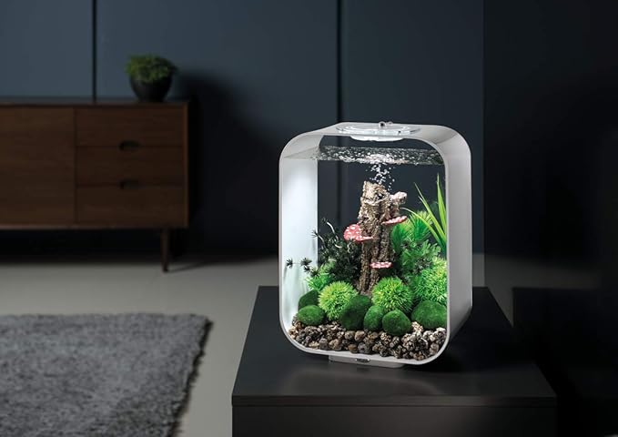 biOrb Bonsai Ball, Colorful and Durable Aquarium Decorations, Black