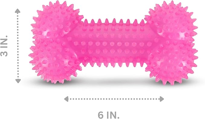 Bow-Wow TPR Spiked Squeaky Dog Toy – Dental Ring or Bone – Vanilla Scented, Colorful, and Fun – Gum Massaging Spikes for Everyday Play