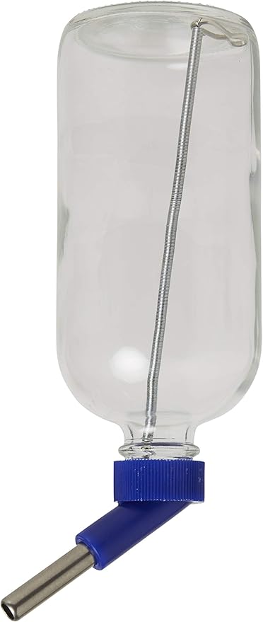 Lixit Glass Water Bottles for Small Animals and Birds (16oz), Clear (COMINHKR016337) (Pack of 2)