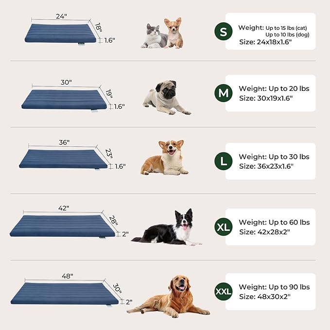 BALANCE Dog Crate Bed, Orthopedic Dog Bed Pad with Waterproof Liner, Washable Crate Foam Pet Mat for Large, Medium, Puppy Dogs Breeds, Powder Blue, 30"x19"x1.6"