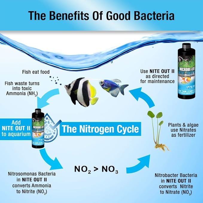 MICROBE-LIFT Nite-Out II Aquarium Bacteria for Start-up, Instantly Cycle Aquariums, Add Fish on Day 1, Rapid Ammonia and Nitrite Reducer for Freshwater & Saltwater Fish Tank, 1 Gallon (NITEHG1)